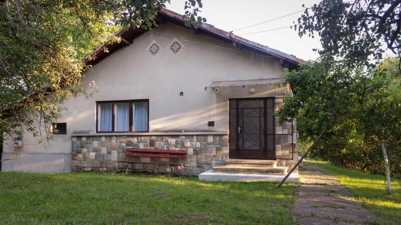 Casa Rurala Cu Livada Lavandra Câmpina Exteriör bild