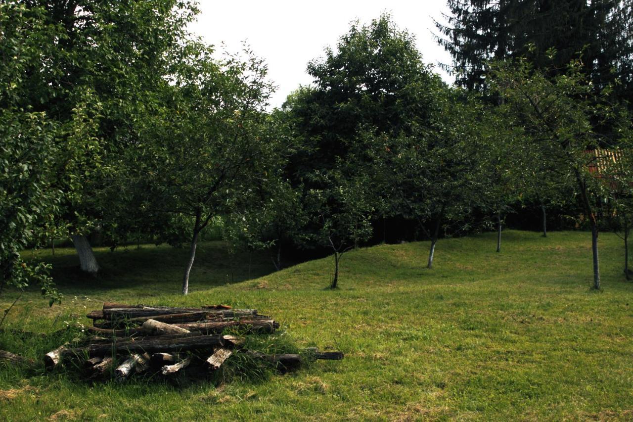 Casa Rurala Cu Livada Lavandra Câmpina Exteriör bild