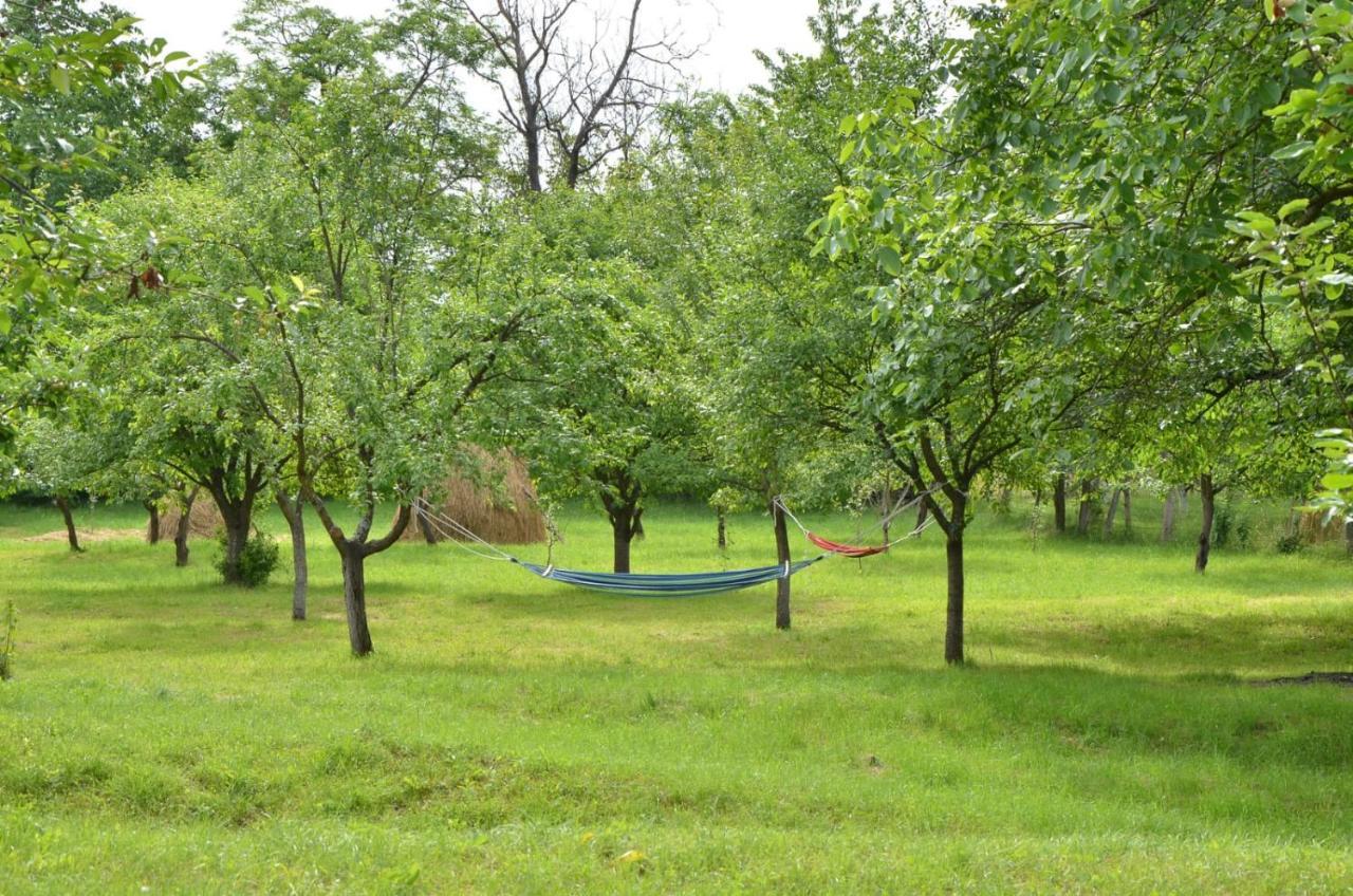 Casa Rurala Cu Livada Lavandra Câmpina Exteriör bild