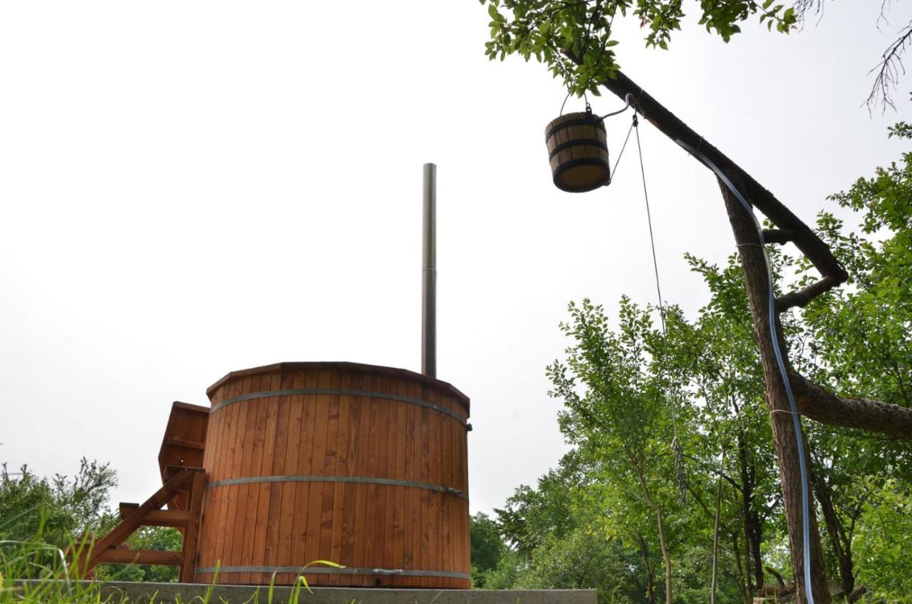 Casa Rurala Cu Livada Lavandra Câmpina Exteriör bild